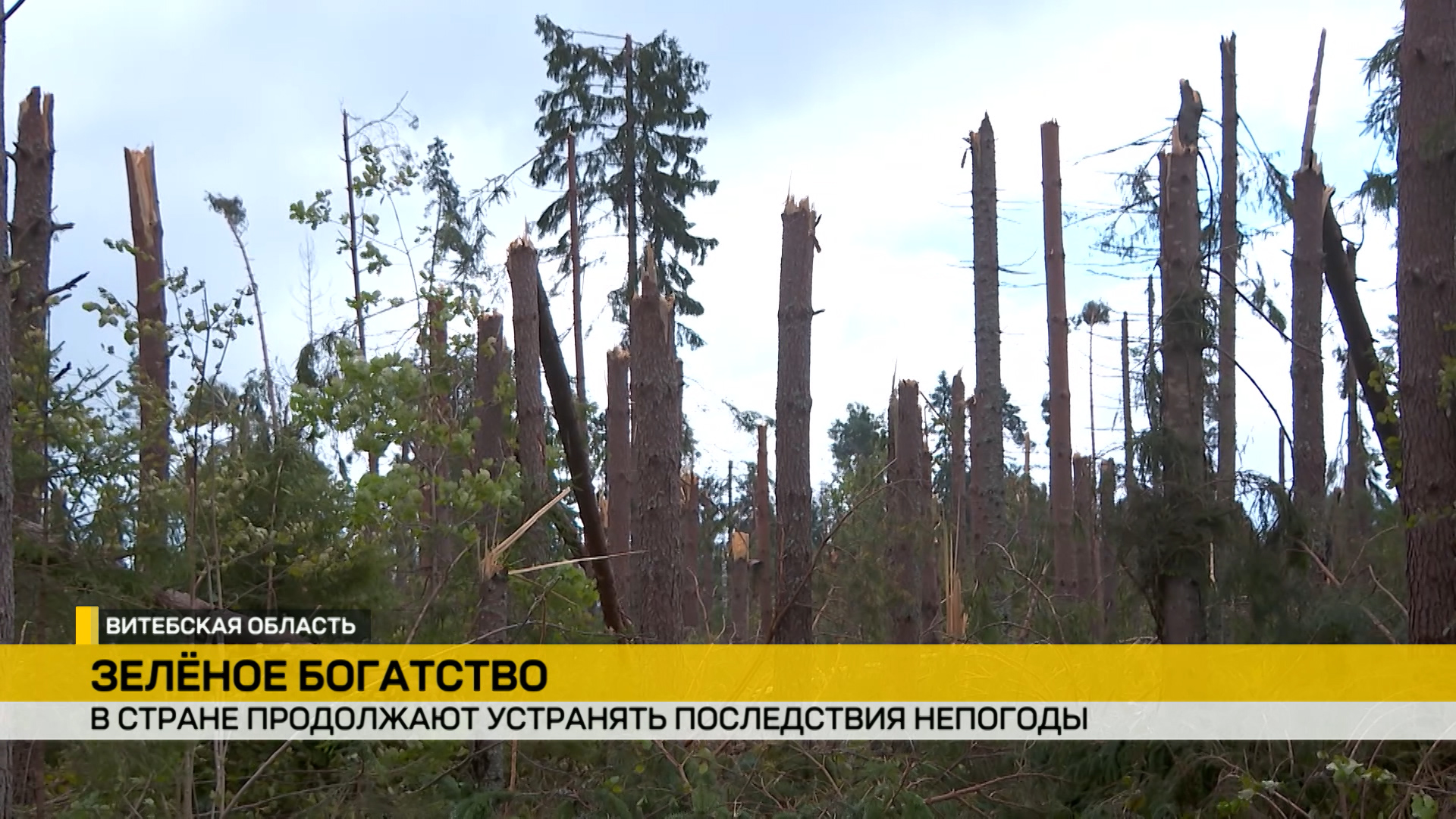 в Беларуси устраняют последствия непогоды